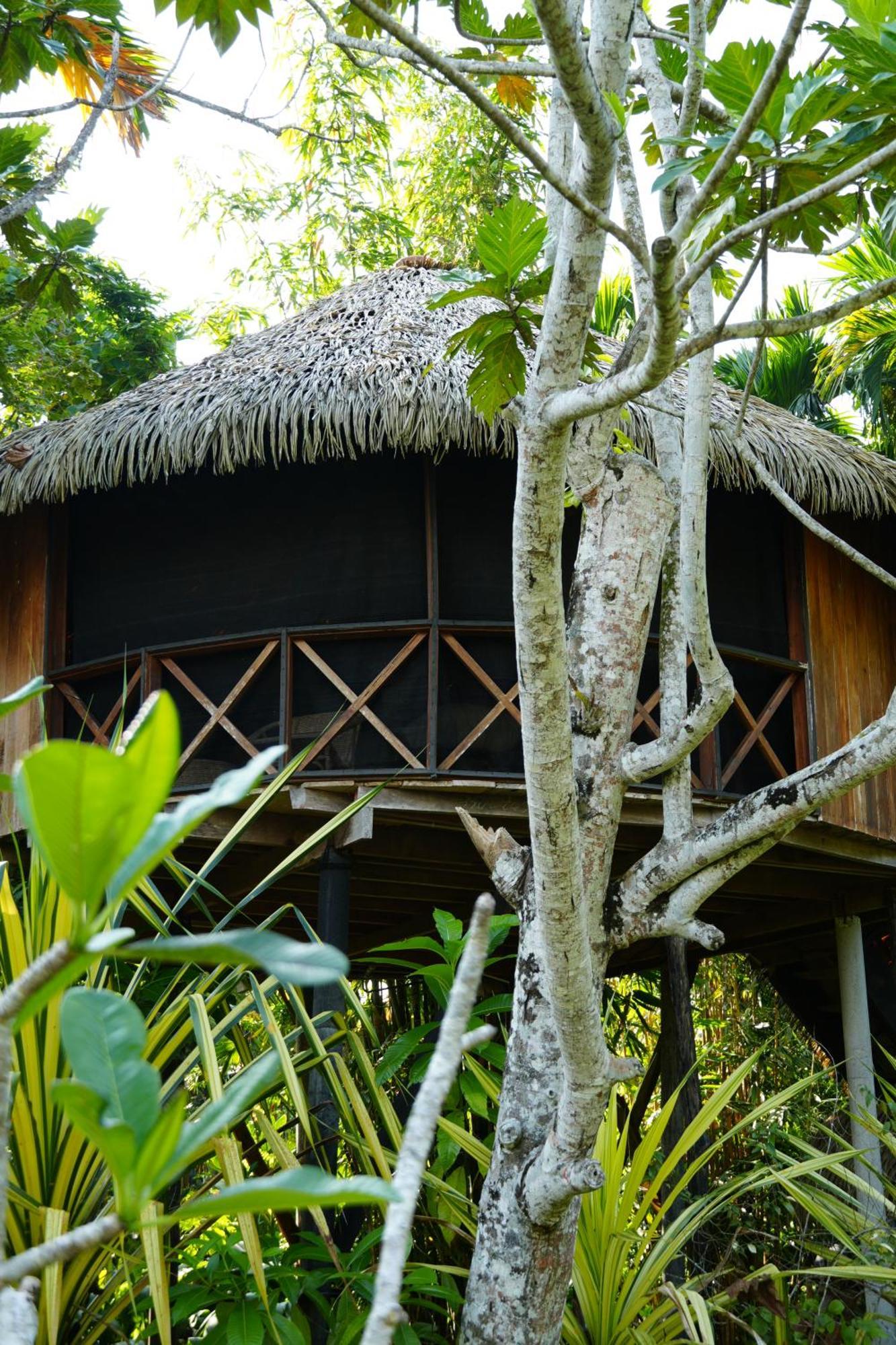 Huma Terra Lodges Hikkaduwa Εξωτερικό φωτογραφία