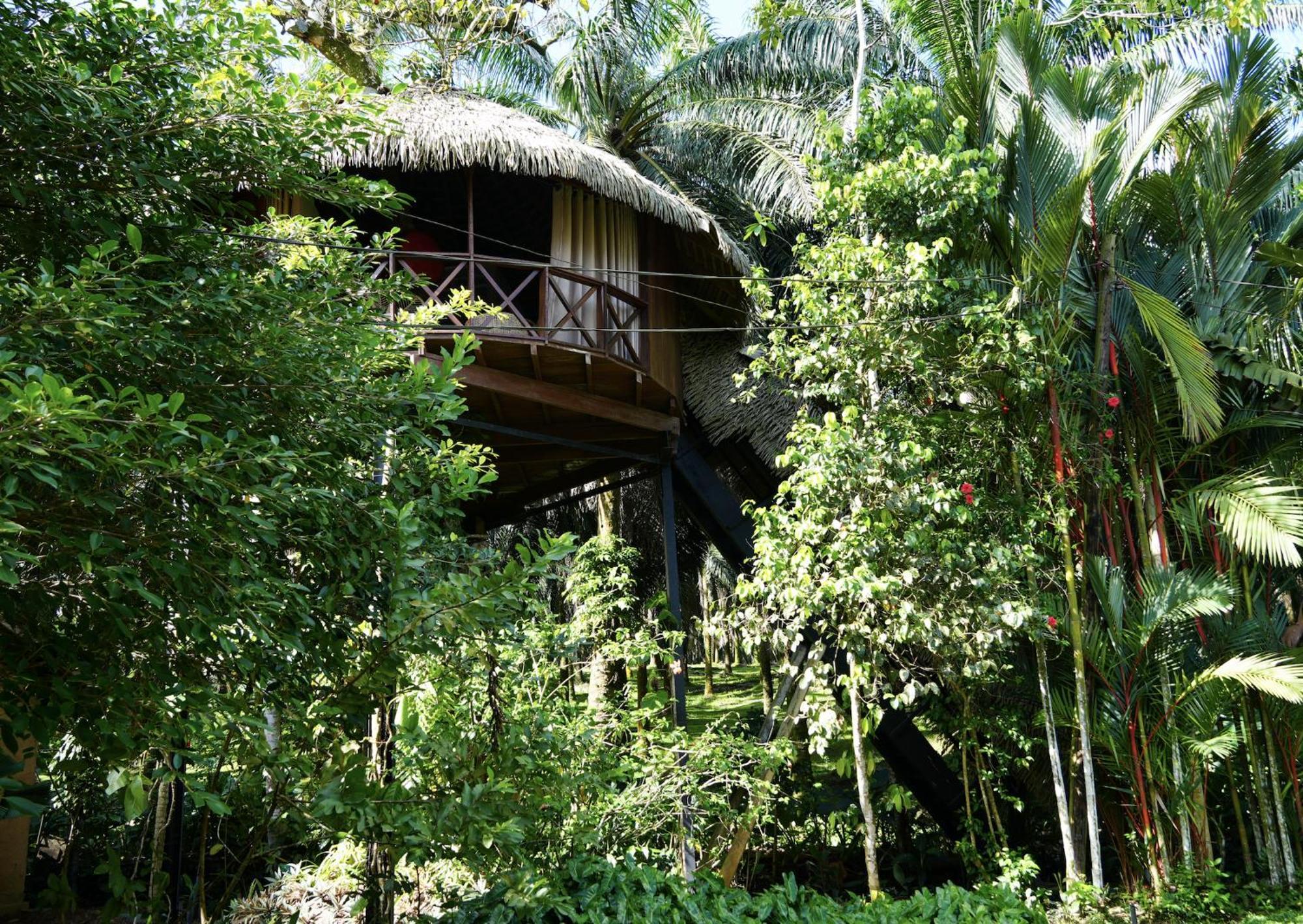 Huma Terra Lodges Hikkaduwa Εξωτερικό φωτογραφία