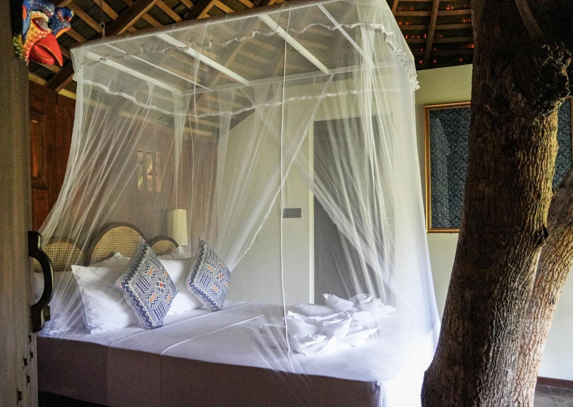 Huma Terra Lodges Hikkaduwa Εξωτερικό φωτογραφία